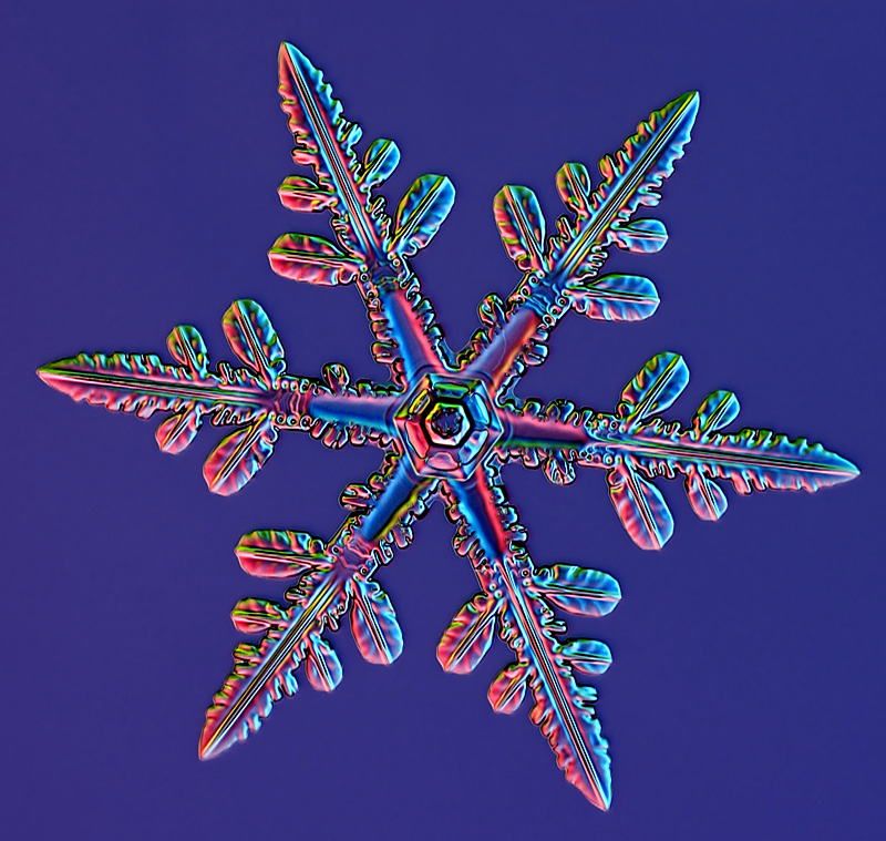 Magnified snowflake photo by Kenneth Libbrecht. Source: scientificamerican.com